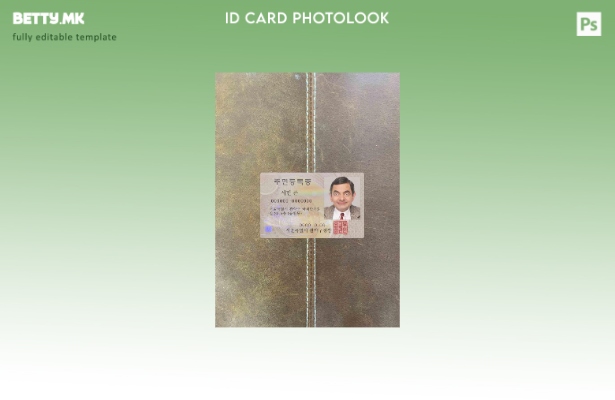 модерен стил верзија на Korea ID photolook шаблон FRONT